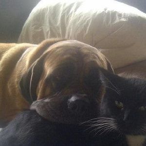 Meet your Posher, Candace